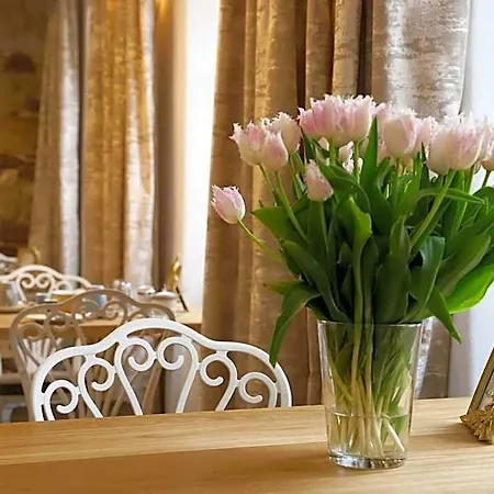 Hotel Boutique-hotel Im Sternenhof Worms